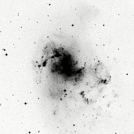 NGC 1313