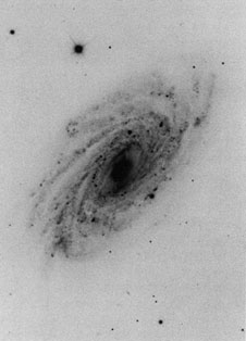 NGC 3953