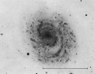 NGC 1637