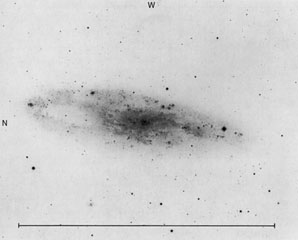 NGC 247