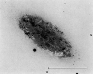 NGC 2976