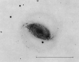 NGC 3504