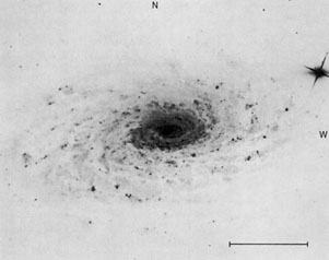 NGC 5055