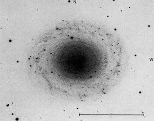 NGC 7217